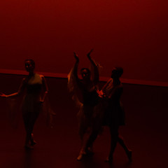 d7k_1701_carrysize_cr_44460545864_o.jpg